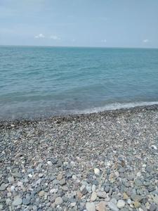 Apartment for rent in the center of Batumi