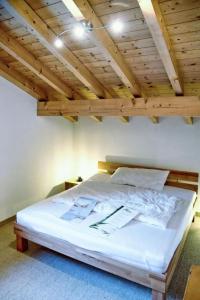 Apartment Gibelegga in Fiesch by Interhome