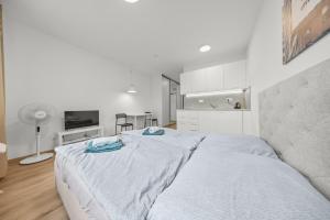 AC 1 room Apartment, Hraničná 36