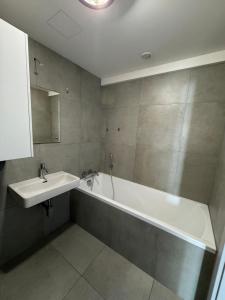 Central Loft Apartment Opava