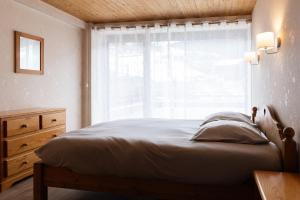 11 Appartements LE CHALET DU PLESSIS de 2 à 10 personnes au cœur du village
