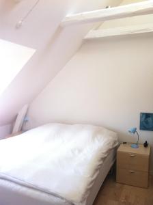 Penthouse loft - 2 bedrooms - centrally Copenhagen