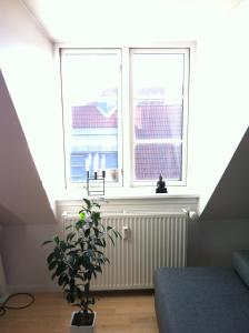 Penthouse loft - 2 bedrooms - centrally Copenhagen