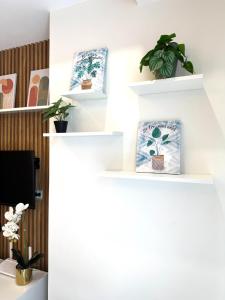 Comfy Studio in Banilad Mivela
