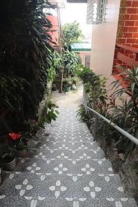 Cozy Transient House Itogon Benguet Baguio City