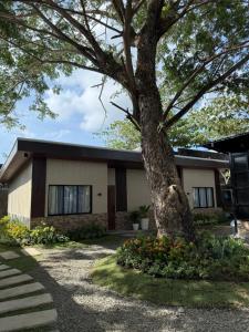 SeVita Suites