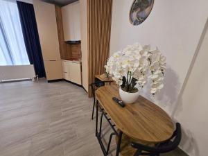 Stefan Promenada Studio - Mamaia Nord Promenada prima linie