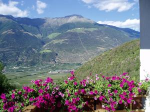 Montani