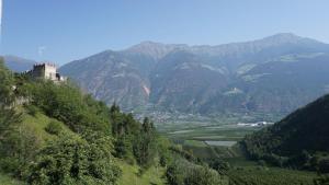 Montani