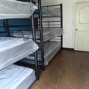 Bunk bed Apt