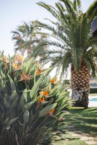 Luxury Villa Maria - piscina privata