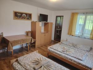 Smeštaj Nena Ribarska banja