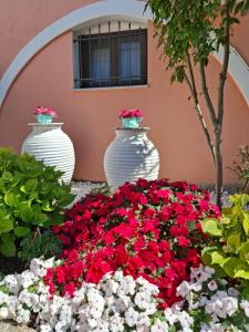 Terra Solaris Guesthouse