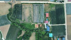 Herbal Farm Day Retreat- Viên Thông Đường