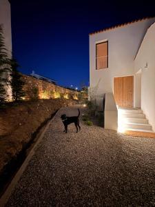 Casa da Azóia Ocean View Villa near Cascais Lisbon