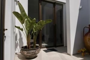 Casa Noemi by Bianco Puglia Vacanze