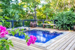 Treetops Roatan