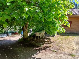 Chalet tout confort