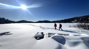 La Sieste | Chalet avec SPA, plage et nature