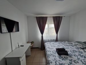 Apartament D & D