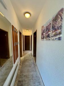 Apartment Hidden Gem of Kotor