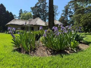 Oaksprings Country House