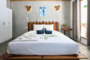 Dive and Sleep -Inclusive Diving Guesthouse - 3 Dives per day