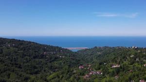 Du du Bungalov