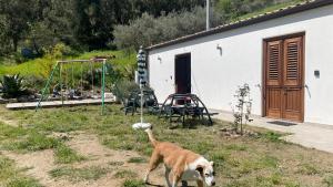 Orto Raccolto
