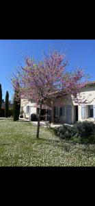 Villa avec piscine
