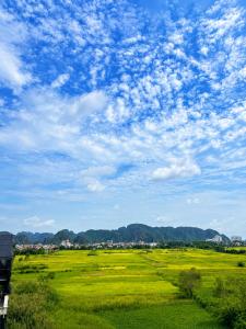 Tam Coc Sylvani Homestay