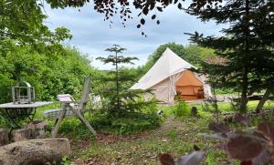 Cozy Garden Glamping