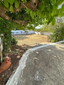Peaceful house in Agia Marina