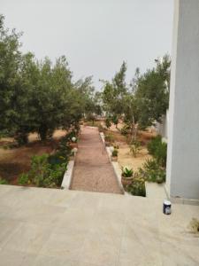Tawfik