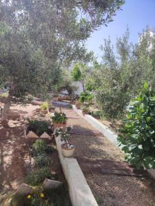 Tawfik