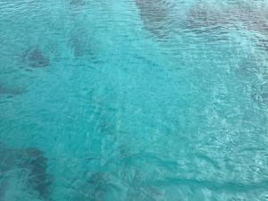 Perla di mare img13