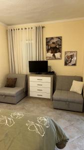 Apartman Tomanovic