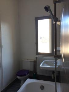 Appartement la Voulzie photo 18