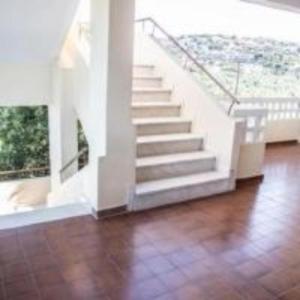 olivensun apartment 1