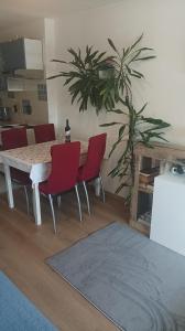 Apartment Dragica 1