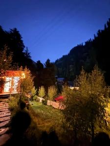 Mystic Vibes - Jibhi