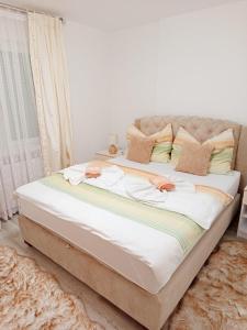 Lux Apartman Banja Koviljaca
