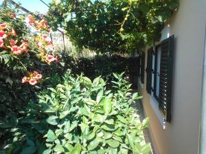 Tone & Marta Apartments