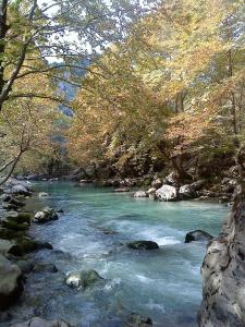 Saxonis Houses & Saxonis Villa Zagori Greece