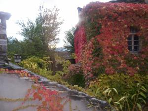 Saxonis Houses & Saxonis Villa Zagori Greece