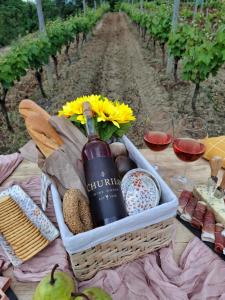 Wine House Churilo