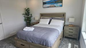3 Bedroom Modern Luxury House - Family Friendly, 3 Queen Beds, Free Wi-Fi, and Free Parking