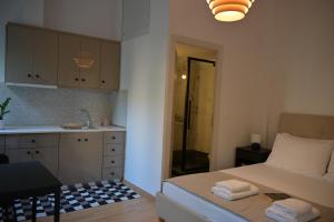 Metka Living Lefkas House