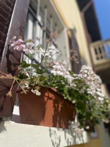 La Casa di Paola