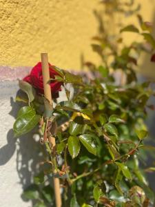 La Casa di Paola